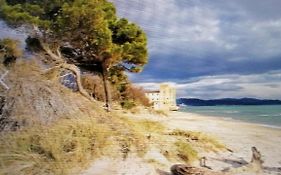 Hausemaremma 1 Camera
